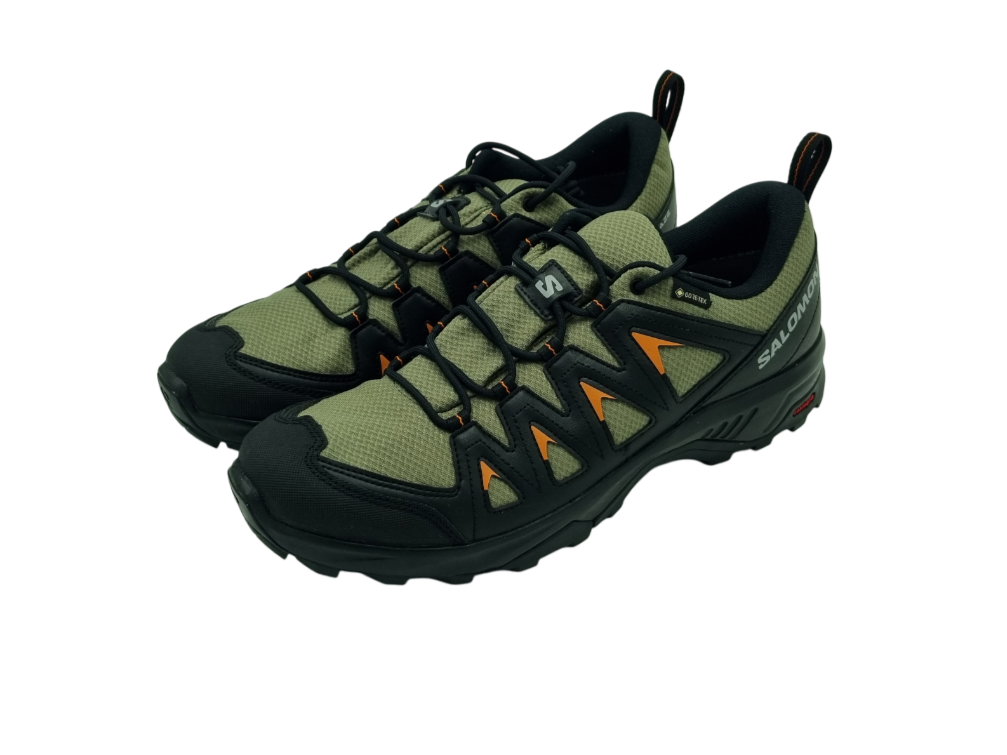 Salomon X Braze GTX Herrenschuh - 471806